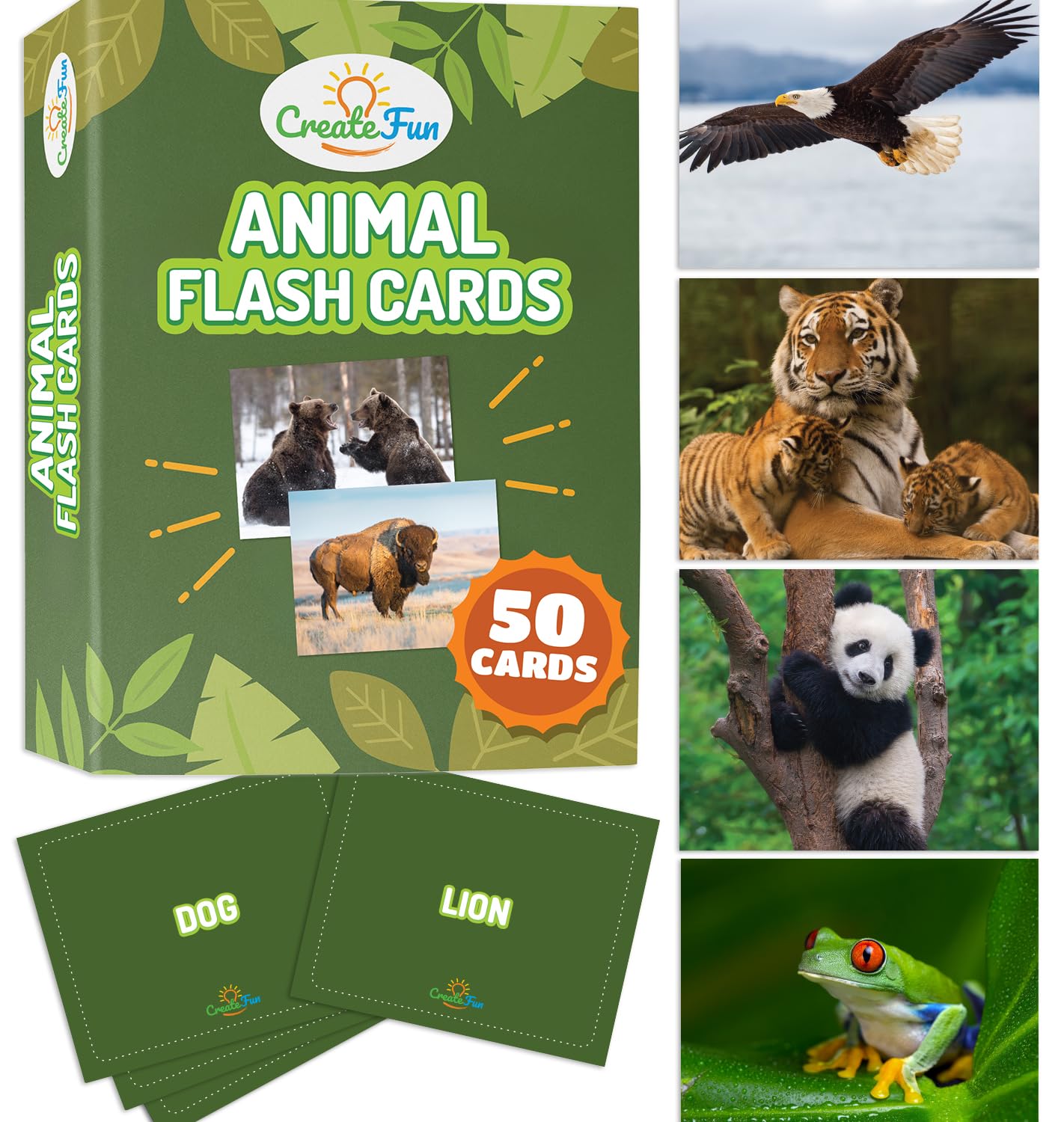 Noun Vocabulary Flash Cards for Kids, ESL Speech Therapy & Preschool Learning Set (300 Photo Cards)