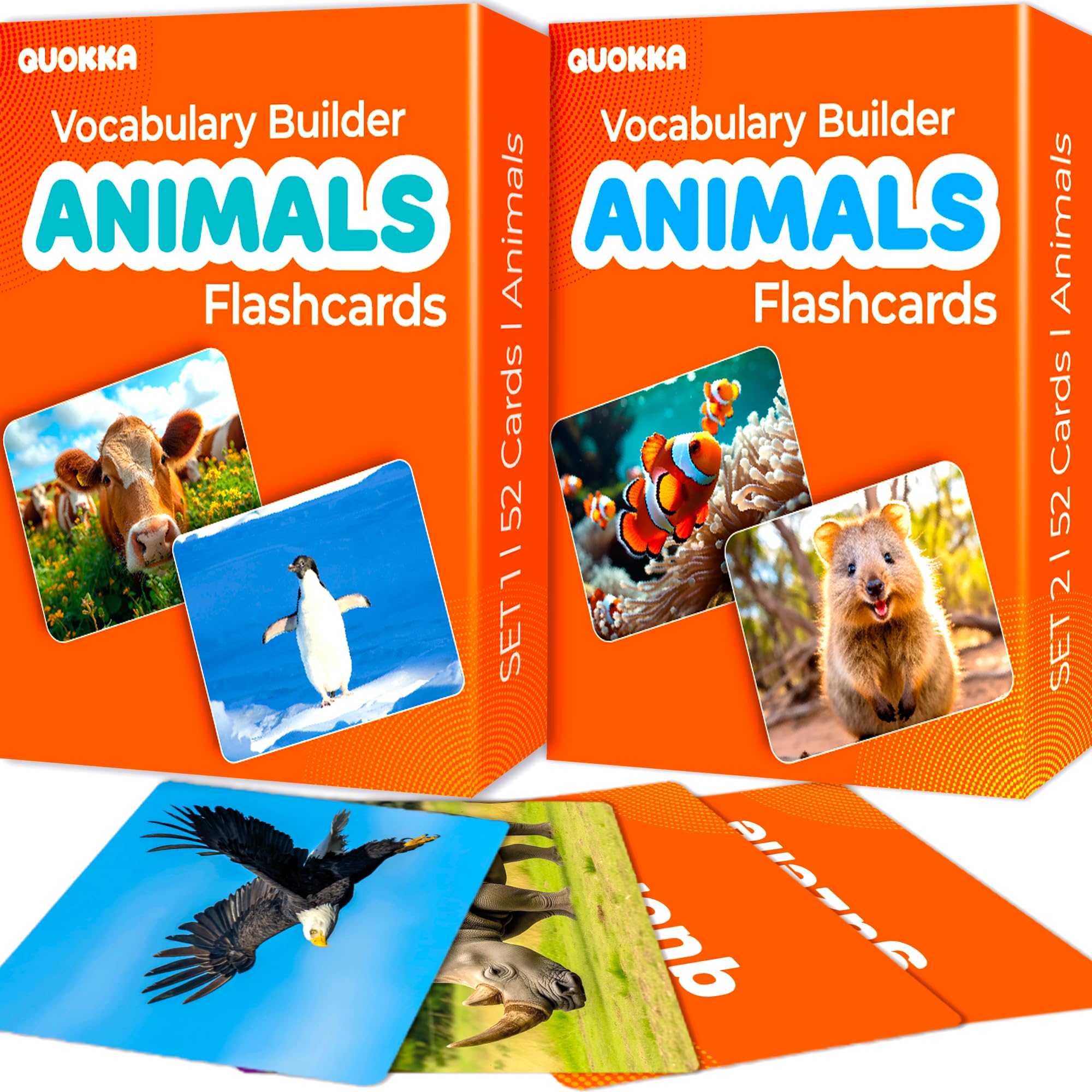 Flash Cards for Speech Development, Vocabulary Learning Set for Kids, Teachers & Parents