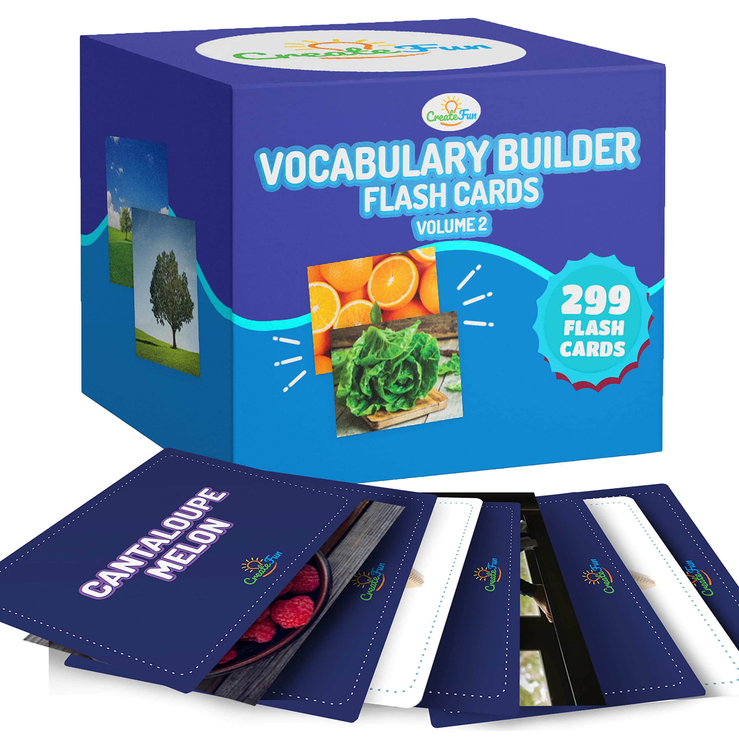 Flash Cards for Vocabulary Building, 6-Pack Educational Photo Learning Set for Kids & Speech Therapy (300 Cards)