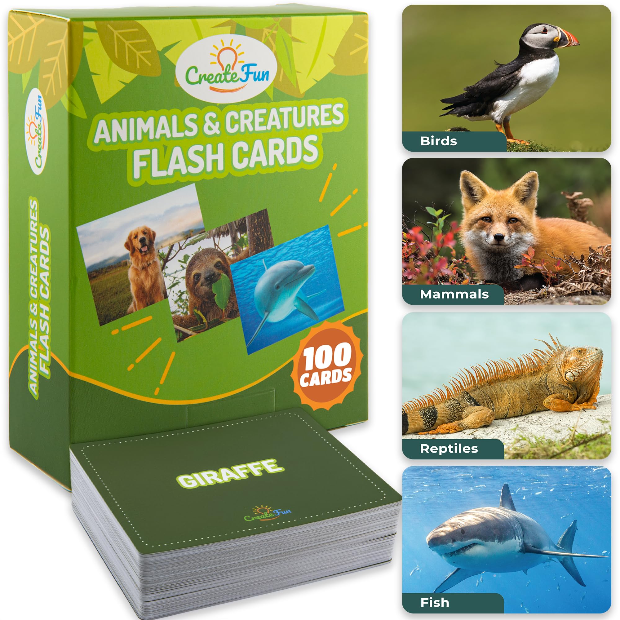 Noun Vocabulary Flash Cards for Kids, ESL Speech Therapy & Preschool Learning Set (300 Photo Cards)