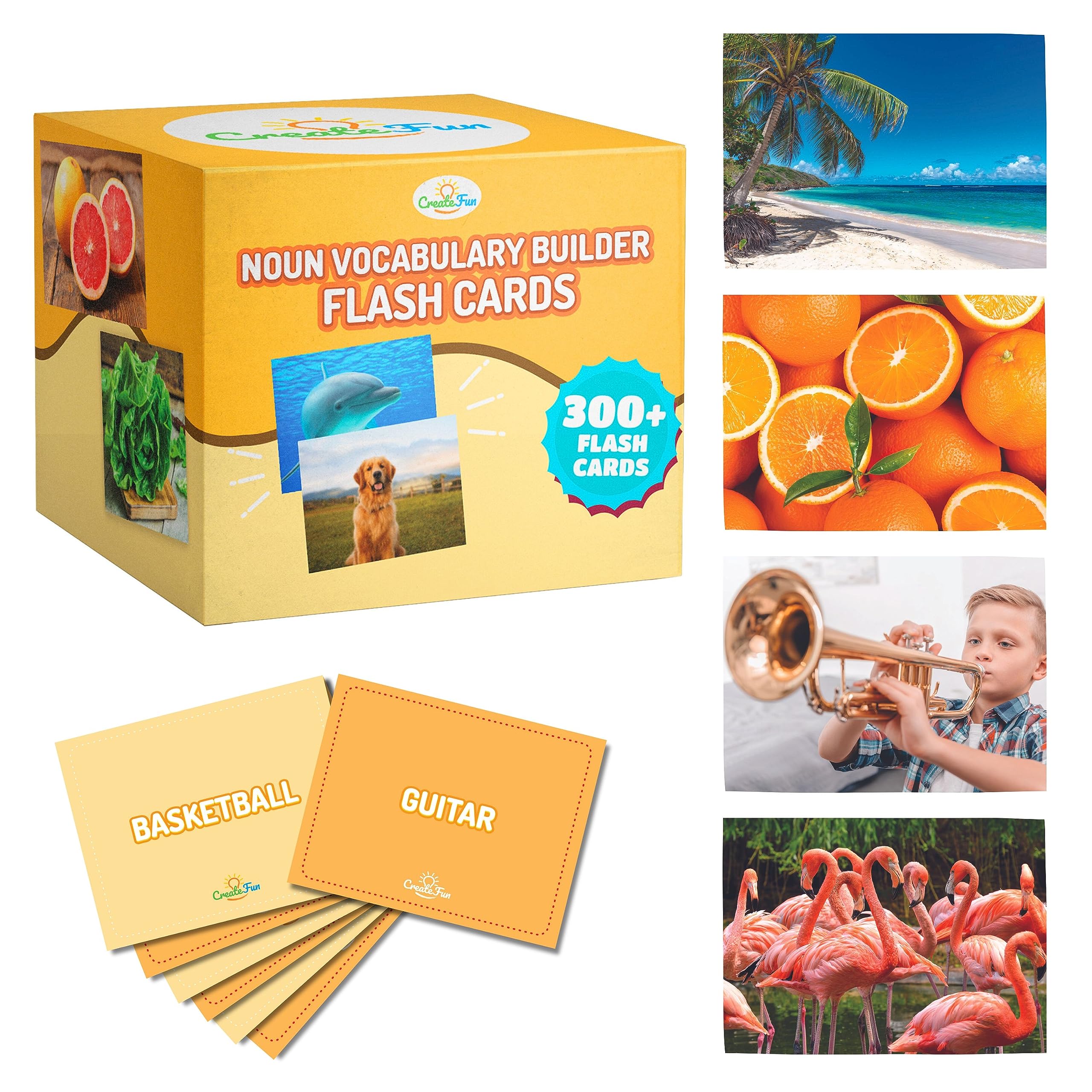 Noun Vocabulary Flash Cards for Kids, ESL Speech Therapy & Preschool Learning Set (300 Photo Cards)