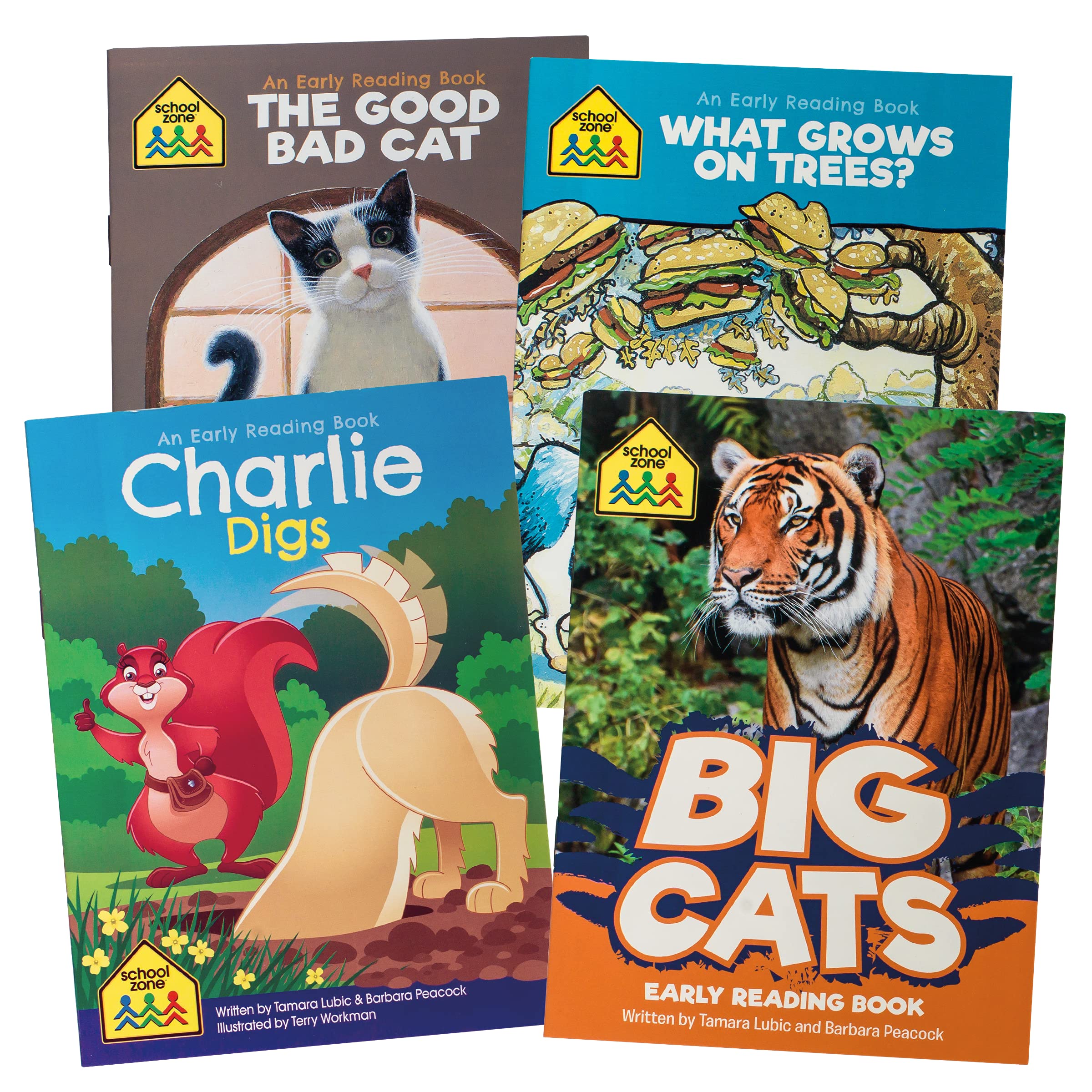 Preschool Learning Kit, Flash Cards & Workbooks Set for Reading, Writing & Math Skills (Ages 3+)